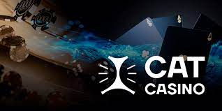 Стартуйте играть в интересные азартные слоты на Cat Casino уже сегодня